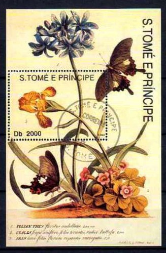 Papillons saint thomas - thomas, et